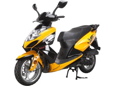 s_Stells yellow4